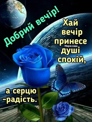 Доброго вечора. Миру Вам і Господньої... - Соломія Українець | Facebook