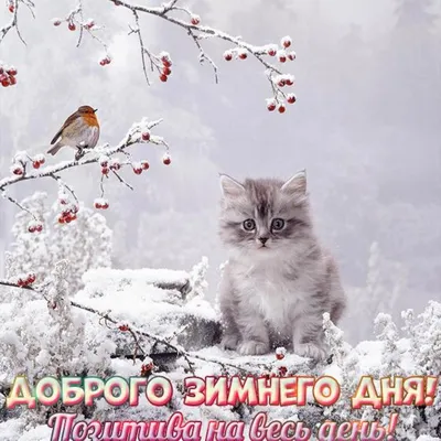 Хорошего зимнего дня - новые красивые открытки (53 ФОТО)