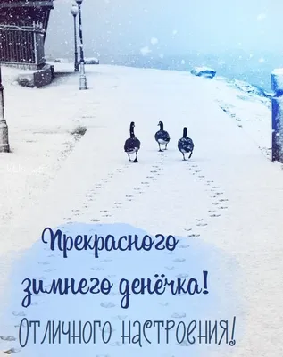 Создать мем \"прекрасного зимнего денечка, зимние дни, доброго зимнего дня и  хорошего\" - Картинки - Meme-arsenal.com