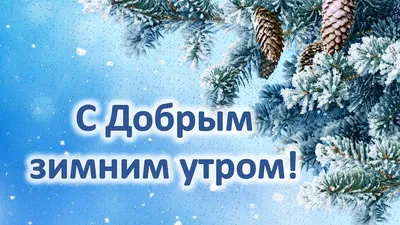 Картинки С добрым зимним утром с пожеланиями. 60 интересных открыток. |  Новогодние цитаты, Счастливые картинки, Зимние цитаты