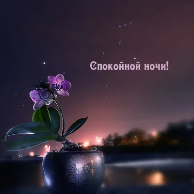 Доброй ночи! До завтра! | ♥♥♥ ПОЗИТИВ-позитивчик для ДРУЗЕЙ ღღღ | ВКонтакте