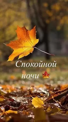 Елена | Доброй ночи осенней🍁❤️ | Дзен