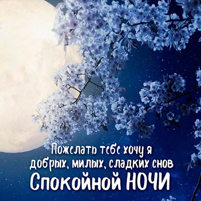 Доброй ночи весна - фото на тему весны и ночи - pictx.ru