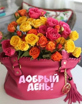 добрый день галина - Pesquisa Google | Открытки, Цветочный, Красивые цветы