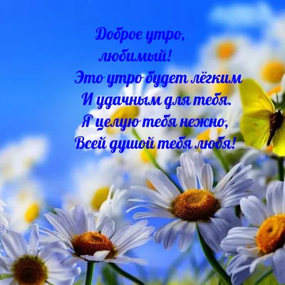 Идеи на тему «Доброе утро любимый» (26) | доброе утро, романтические  цитаты, утренние цитаты