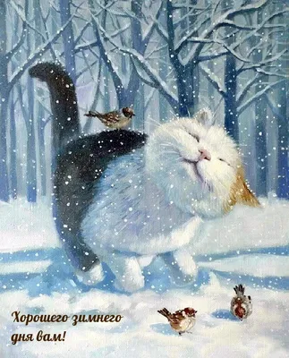 Красивые открытки \"Доброго зимнего дня!\" скачать бесплатно (291 шт.)