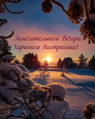 Добрый день, друзья! ⠀ 🌲🌟⛄❄ Зима в деревне. Вологодская область. ⠀ ⠀  Больше красивых фото по ссылке в профиле. ⠀ ⠀ Благодарим Автор: Ф… |  Instagram