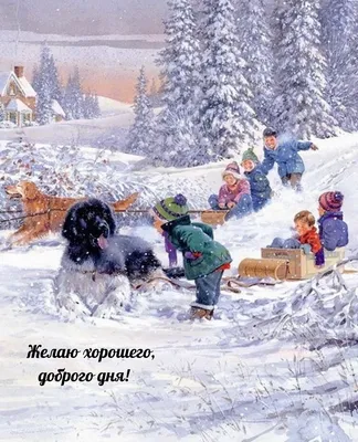 Картинки Доброго зимнего дня (70 картинок)