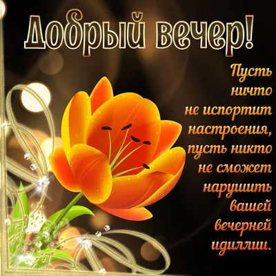 Добрый вечер, друзья! 🌹🌹🌹💐🌹🌹🌹 в 2023 г | Радость, Открытки