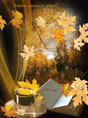 Красивые картинки \"Доброго осеннего вечера!\" (125 шт.)
