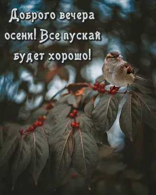 Добрый вечер осень