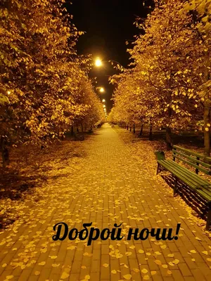 Добрый вечер , парк , осень , фонарь…» — создано в Шедевруме