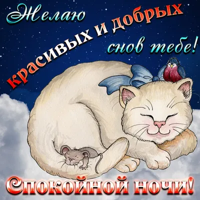 Прикольные открытки \"Спокойной ночи!\" (229 шт.)