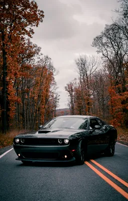 2023 Dodge Challenger Pictures | Muscle Car Images