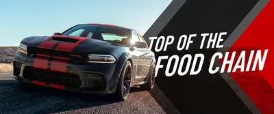 2023 Dodge Challenger SRT Hellcat Redeye Jailbreak: All About That Muscle -  The Car Guide