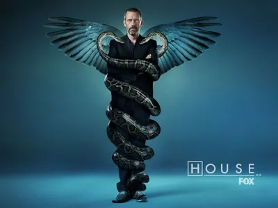 House M.D. (Доктор Хаус) — Обои 6 сезона |