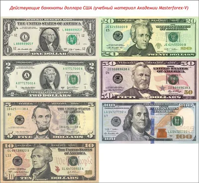 Американский доллар - общая информация