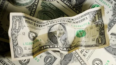 Что делать с долларами на руках в период санкций – рассказал хабаровский  финансист — Новости Хабаровска