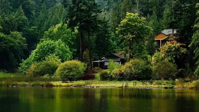 Обои дом, озеро, house, lake, trees, winter, 5k, Природа #17375