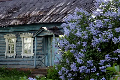 Хочу красивый домик в деревне on Craiyon