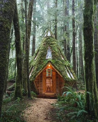 Одинокий домик в лесу :: Виктор Чебоксаров – Социальная сеть ФотоКто