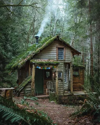 Загородный дом в лесу: единение с природой и самим собой