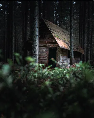 Обои уютный деревянный домик в лесу, интерьер на рабочий стол