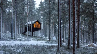 Зимовье в лесу: что такое охотничий домик