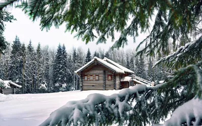 Деревенский домик зимой :: Анна – Социальная сеть ФотоКто