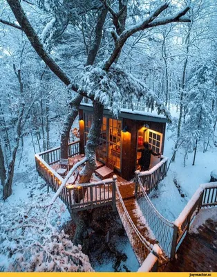 Раскраска зимний домик. Зимний домик и елки. Раскраска.