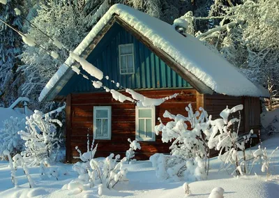 зимний дом. милые дома в снежном лесу уютный домик или дом, где есть  снежная крыша, напечатка на рождественском постере или открыт Иллюстрация  вектора - иллюстрации насчитывающей гостиница, страна: 233383803