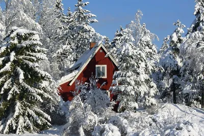 Зимний домик в стиле Пейзаж, Примитивизм, Природа на