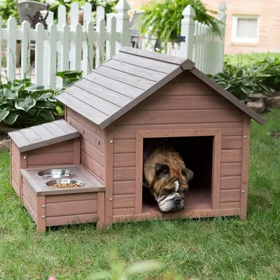 Домик будка для собаки (1312) фото, размеры и описание