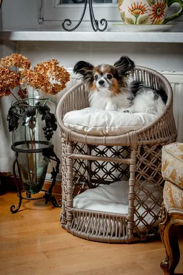 Домик для собак и кошек Trixie Jimmy купить в Киеве, Украине ᐉ ЗооФаворит