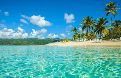 Выбираем свой пляж в Доминикане | Туры во все страны по лучшим ценам, Туры  в Египет, Туры в Турцию,Цены на путевки