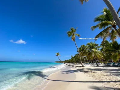 Iberostar Dominicana, hotel en Punta Cana de 5 estrellas | Iberostar