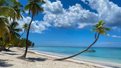 Курорты Доминиканы 2024 ☀️ сравнение, какой выбрать, цены на туры