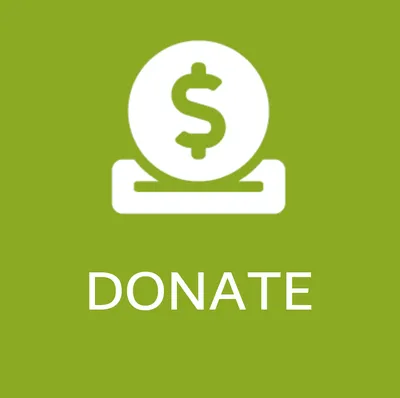 Donate icon