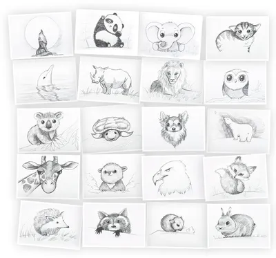 Рисуем пальчиками. Книга-раскраска Animal Park для детей, для малышей,  учимся рисовать. 50 стр. - купить с доставкой по выгодным ценам в  интернет-магазине OZON (1289059887)