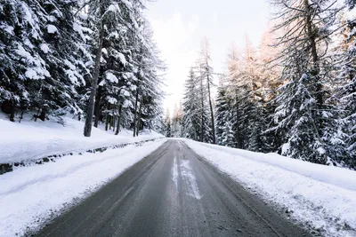 Скачать обои дорога, лес, туман, road, forest разрешение 1280x1024 #271940