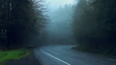 Обои лес, дорога, туман на рабочий стол