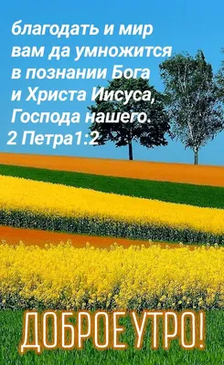 Дорогие друзья, коллеги, партнеры! Поздравляем Вас с наступающим новым  годом и Рождеством!