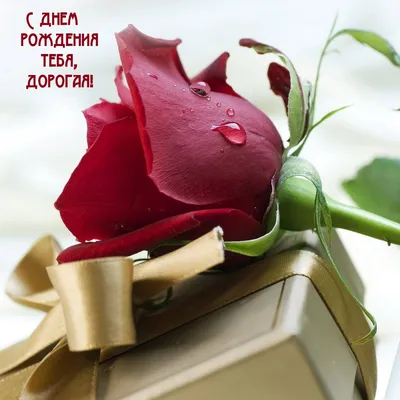 Открытка дорогой Тёте с Днём Рождения, с фиолетовыми цветами • Аудио от  Путина, голосовые, музыкальные