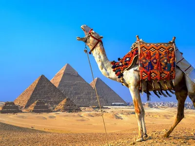 Достопримечательности Египта во взглядах коллаж пирамид и В каире Стоковое  Изображение - изображение насчитывающей памятник, известно: 180834773
