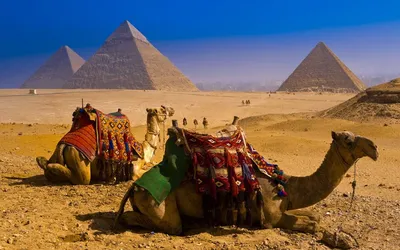 Достопримечательности Египта - только за безналичный расчет
