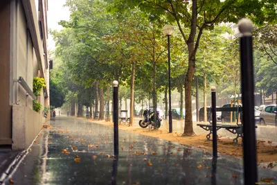 Города - The city in the rain Video wallpaper - живые обои