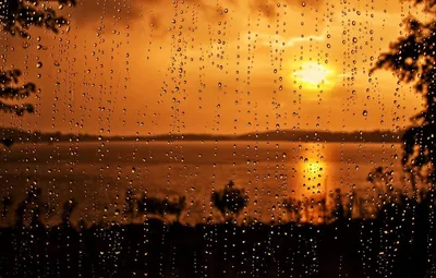 Дождь и солнце (59 фото) - 59 фото