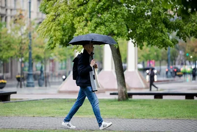 Дождь и солнце пообещали синоптики ставропольцам в начале новой недели