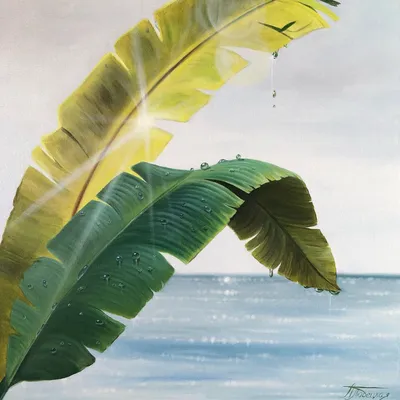 Солнце и дождь\"» картина Тупейко Ивана маслом на холсте — купить на  ArtNow.ru