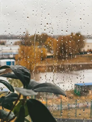 Обои дождь на стекле - 64 фото